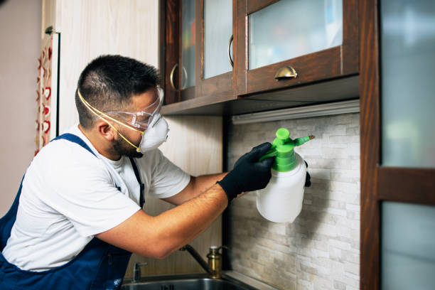 Best Pest Inspection Near Me  in Sesser, IL