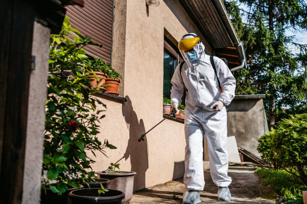 Best Affordable Pest Control Services  in Sesser, IL