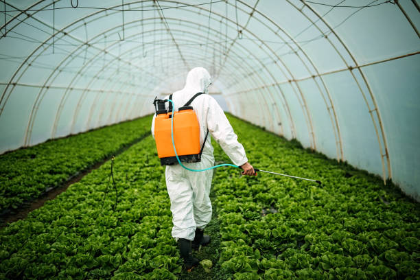 Best Pest Control Near Me  in Sesser, IL