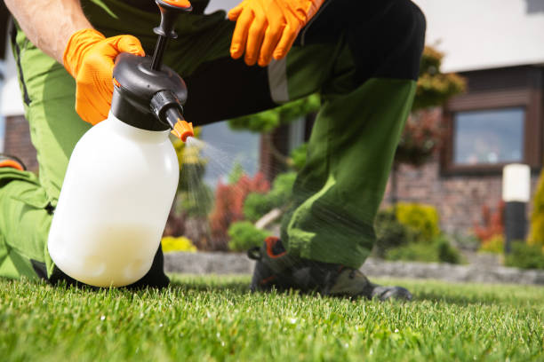 Best Flea Control Services  in Sesser, IL