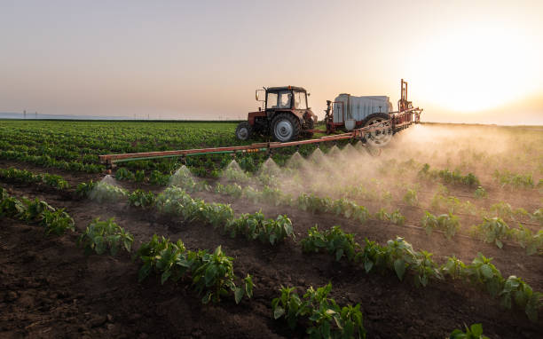 Best Commercial Pest Control Services  in Sesser, IL
