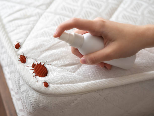 Best Exterminator Services  in Sesser, IL