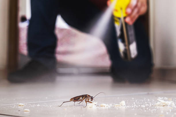 Best Best Pest Control Companies  in Sesser, IL