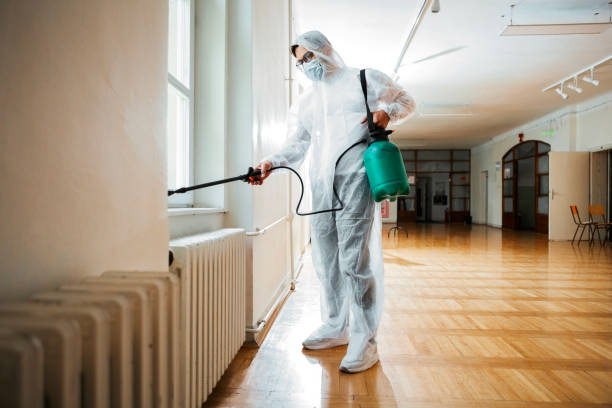 Best Flea Control Services  in Sesser, IL