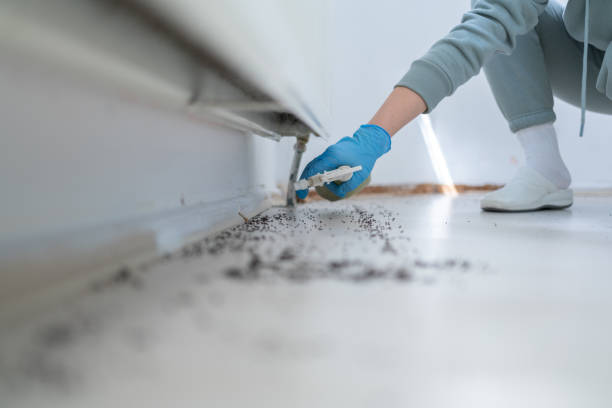 Best Best Pest Control Companies  in Sesser, IL