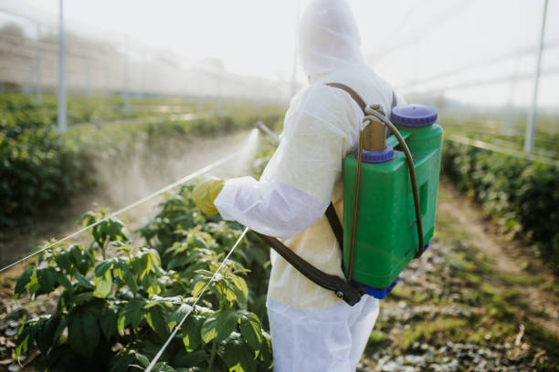 Best Ant Control Services  in Sesser, IL